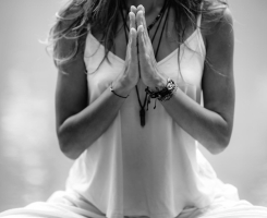 Os Mansos: paciência em conflitos