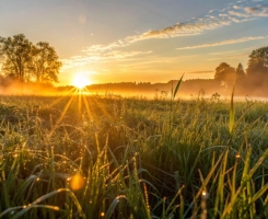 O sol que nasce para os bons e para os maus