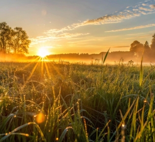 O sol que nasce para os bons e para os maus